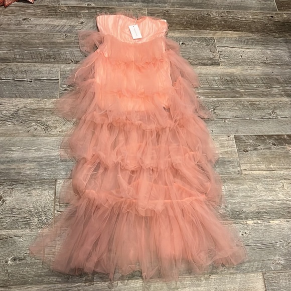 Revolve Lovers and Friends Pink Tulle Bobbit Gown NWT - Picture 4 of 6